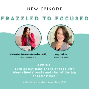 Read more about the article Featured in the Frazzled to Focused Podcast for service-based business owners