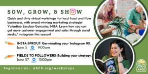 Read more about the article Social media/Instagram for Local Food vendors