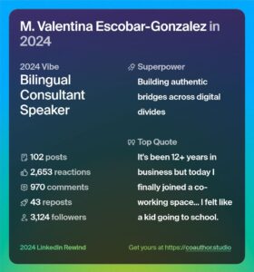 Read more about the article My 2024 Year in Review from LinkedIn